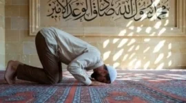 Shalat tidak hanya ibadah spiritual, tetapi juga memiliki dampak ilmiah terhadap kesehatan mental, sistem saraf, dan stabilitas emosi manusia.( Poto : muidigital ).
