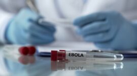 Ilustrasi ebola(Foto: shutterstock)