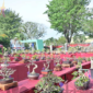 Dok. Foto: jambikota.go.id | Pemerintah Kota Jambi