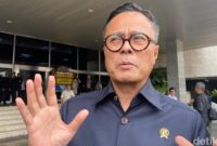 Foto: Ilyas Fadilah/detikcom