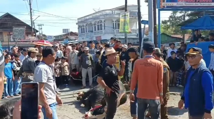 Penyembelihan hewan kurban, Foto; Desi Hermila/RRI Sungai Penuh