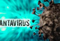 Ilustrasi. Hantavirus. (iStockphoto)
