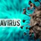 Ilustrasi. Hantavirus. (iStockphoto)