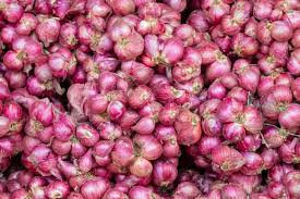 Tumpukan bawang merah segar hasil panen petani ( Poto : MyKuta )