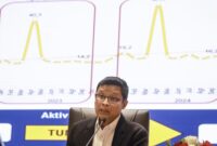 (Foto: ANTARA FOTO/Dhemas Reviyanto)