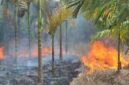 Foto: SEKATOJAMBI.COM