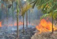 Foto: SEKATOJAMBI.COM