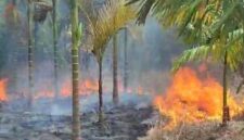 Foto: SEKATOJAMBI.COM