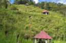 Foto: JAMBIEKSPRES.CO.ID