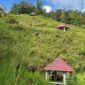 Foto: JAMBIEKSPRES.CO.ID