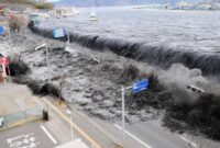 Ilustrasi tsunami Tohoku.( poto : istimewa )