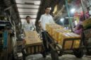 Minyakita yang disalurkan ID FOod(Dok ID FOod)