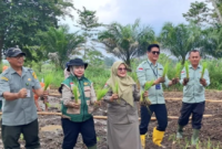Foto: ANTARA JAMBI