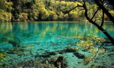 7 Wisata Jambi yang Wajib Masuk Daftar Liburan, Ada Danau Kaco hingga Gunung Kerinci