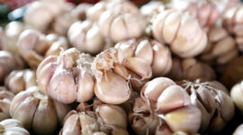 Bawang Putih. Foto : Ricardo/JPNN com