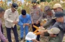 Foto: Desi Hermila/RRI Sungai Penuh