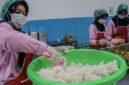 (Foto: Antara Foto/Andri Saputra).