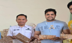Pemkab Kerinci Salurkan Bibit Kayu Manis untuk Tingkatkan Produktivitas Petani