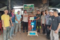 Foto: jambi-independent.co.id