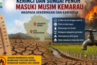 Ilustrasi. Foto: RRI Sungai Penuh