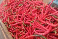 Penjualan Cabe Merah di Pasar Tanjung Bajure Sungai Penuh. Foto: RRI Sungai Penuh