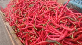 Penjualan Cabe Merah di Pasar Tanjung Bajure Sungai Penuh. Foto: RRI Sungai Penuh