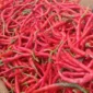 Penjualan Cabe Merah di Pasar Tanjung Bajure Sungai Penuh. Foto: RRI Sungai Penuh