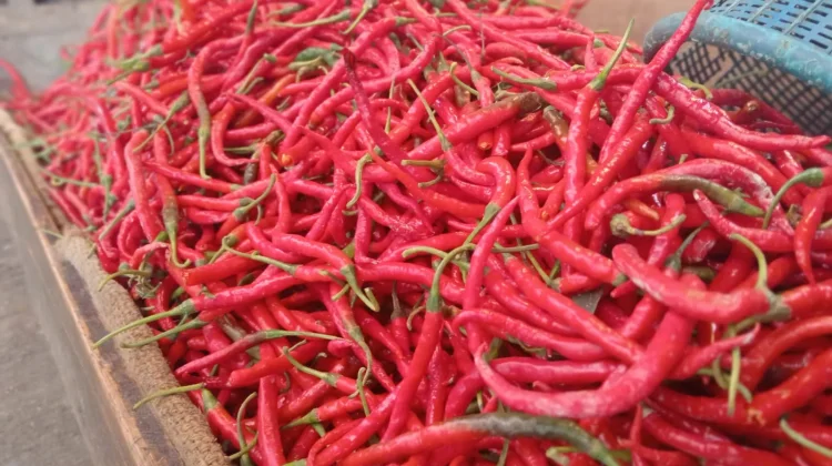 Penjualan Cabe Merah di Pasar Tanjung Bajure Sungai Penuh. Foto: RRI Sungai Penuh
