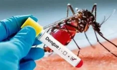 Kasus DBD di Sungai Penuh Naik Jadi 88, Dinkes Gencarkan PSN