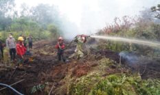 Danrem 042 Gapu Pimpin Pemadaman Kebakaran Lahan di Desa Londerang