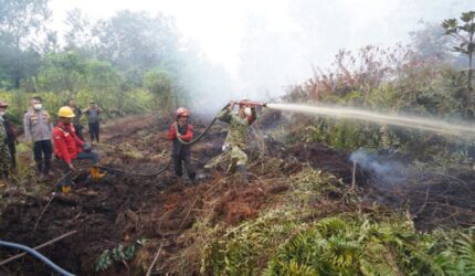 Danrem 042 Gapu Brigjen TNI Nyamin turun langsung memadamkan karhutla Muaro Jambi di Desa Londerang bersama tim gabungan lintas instansi.