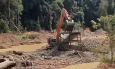 Aktivitas PETI Marak di Lubuk Beringin Merangin, Warga Desak Kapolda Jambi Turun Tangan