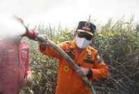 Gubernur Jambi Al Haris turun langsung di lokasi Karhutla Desa Sungai Datuk, Kecamatan Nipah Panjang, Kamis (27/8/2026).(poto: istimewa).