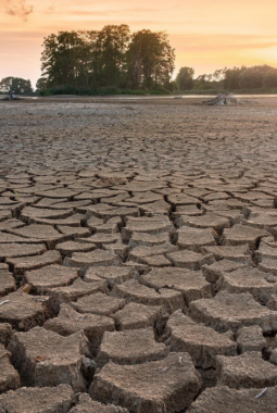 WMO Peringatkan El Nino Sangat Kuat Ancam Dunia Hingga 2027