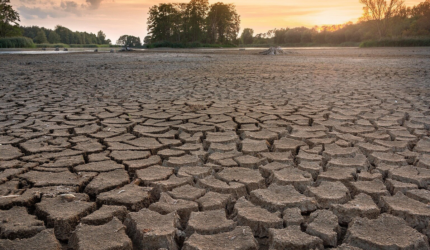 WMO memperingatkan fenomena El Nino sangat kuat berpotensi memicu cuaca ekstrem dan krisis ekonomi global hingga Februari 2027.