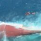 Kondisi KM Virgo Transport 8 yang ditemukan dalam kondisi terbalik di wilayah laut jawa.(poto: kompas.com).