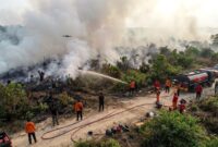 Ilustrasi: Satgas gabungan berjibaku memadamkan kebakaran hutan dan lahan gambut di tengah kepungan asap pekat di Sumatra.(poto: AI).