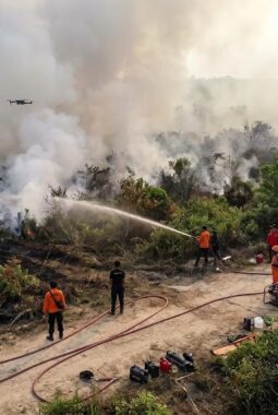 Pemerintah Prioritaskan Dua Wilayah Karhutla, Apakah Jambi Termasuk?